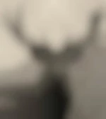 Le-Cerf