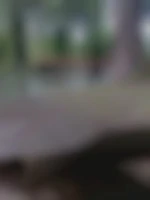 kalos