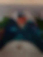 mbibmmen