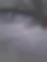 Qaprendre14