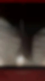 Pipiri