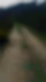 Poursuceurbois