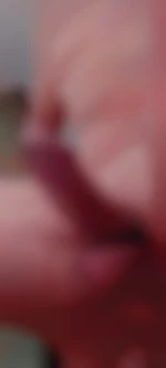 Bitadispo