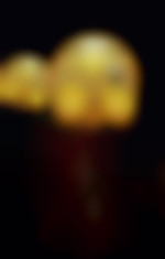 CoupleDiscret
