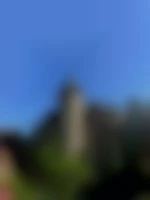 Mimi238
