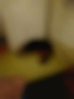 Gege52