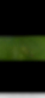 Corto86