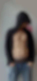 Lapourvidemalen