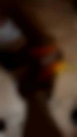 SneakerTn7578