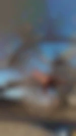 Tary
