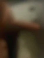 BRUNVIRIL1M98