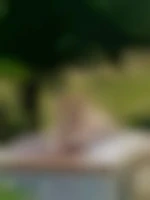 pat0408