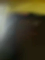 Bgbm74100