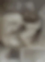 Lechat