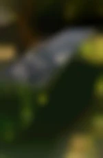 homerG