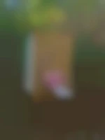 homerG