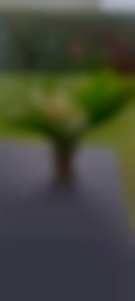 CplCoquin44350