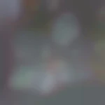 Maylonr