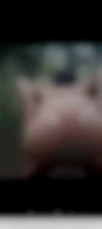 motardbi