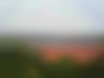 susucre