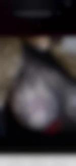 Jessy83