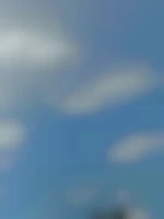 Plandiscret63