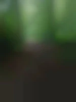 Ludogay59