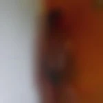 Petitchat12