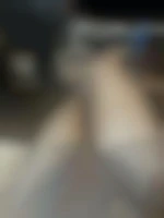 55556