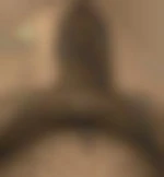 TPVH(*)