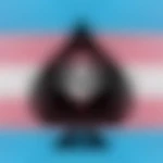 cocottetransQoS