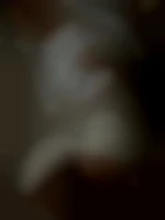 Solo74