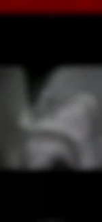 vincenzo13