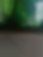 Apolobylka