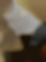 Modefurtif83