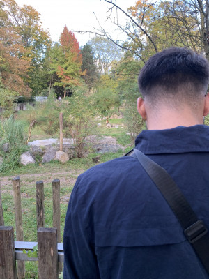 profil