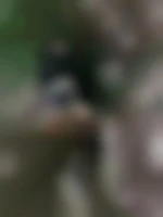 Lovecuni45