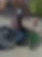 Motardlovegay22