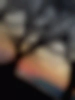 Lovesex13
