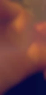 Suce_midi_&amp;_2