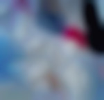 chatoune6