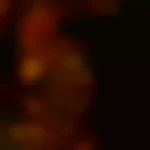 TOM