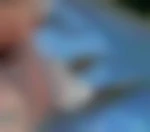 Nikolas64