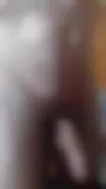 Marco44