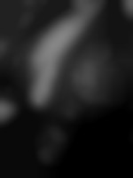 monster34000