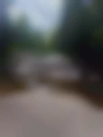 Diego