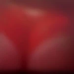Pourquoi_Pas77