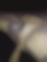 Justemoi1