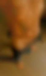 LG4475