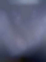 Hbm06